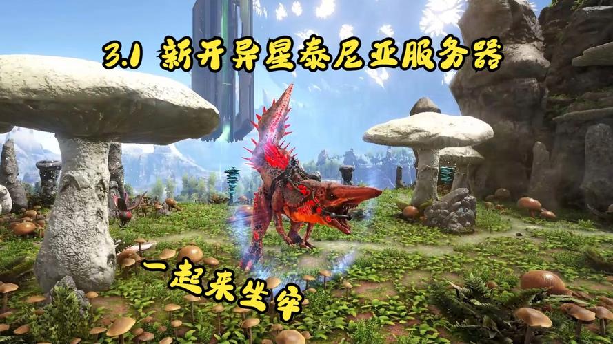 WOW 新开服务器是否值得购买之深度剖析