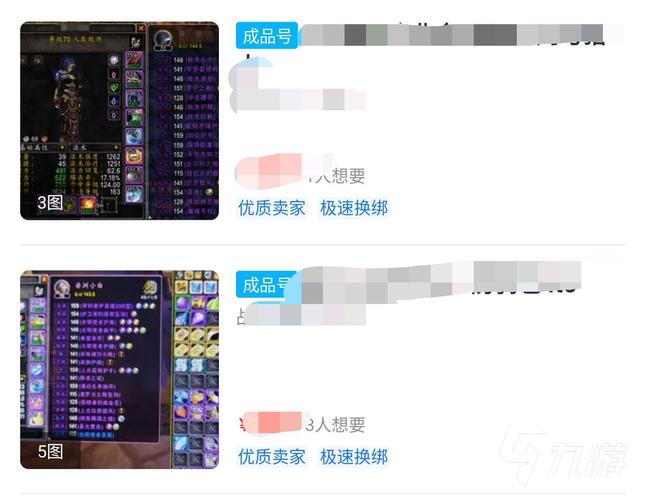 魔兽世界怀旧服金币交易网站：风险与选择